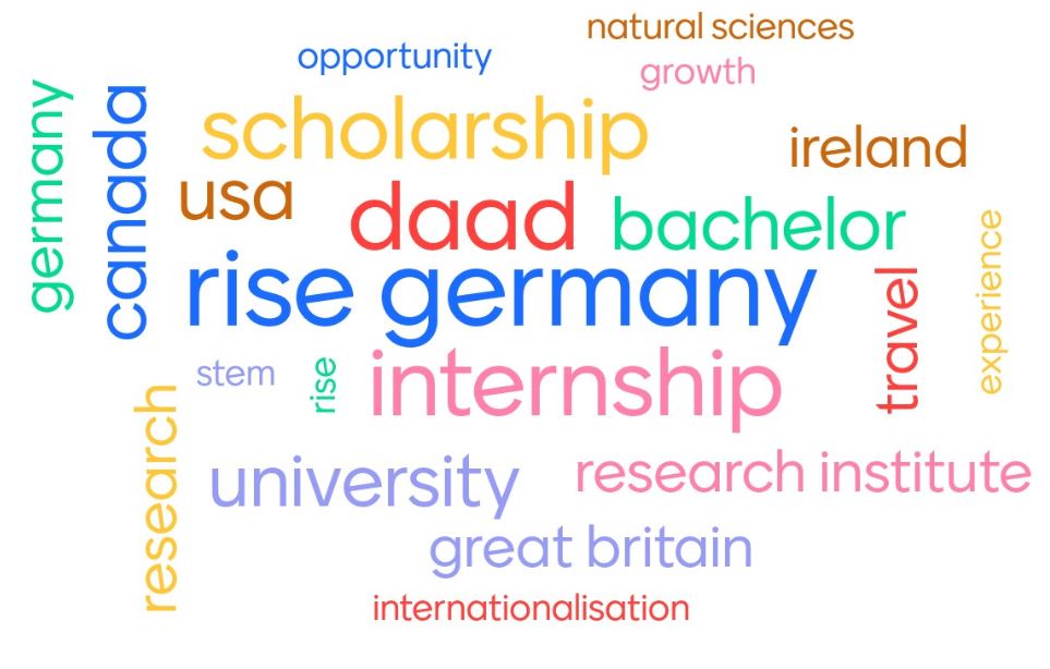rise germany intership program