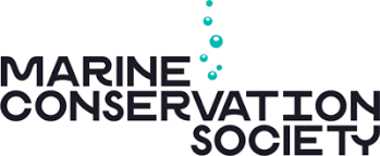 Social Media Manager