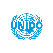 UNIDO Internship
