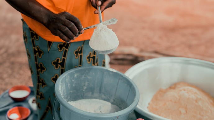 Grand Challenges Addressing Physiological Barriers Micronutrient Absorption 2026