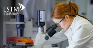 Thomas Mark Scholarship 2026