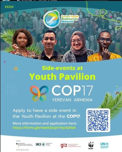 cop17
