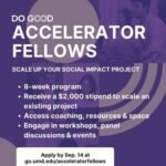 accelerator